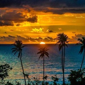 Meet your Posher, Johanna